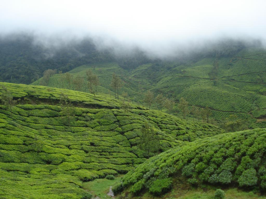 Kandy View Villa Dış mekan fotoğraf