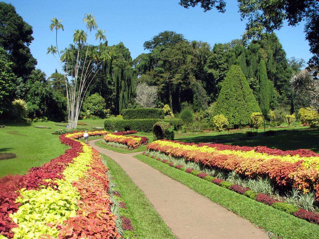 Kandy View Villa Dış mekan fotoğraf